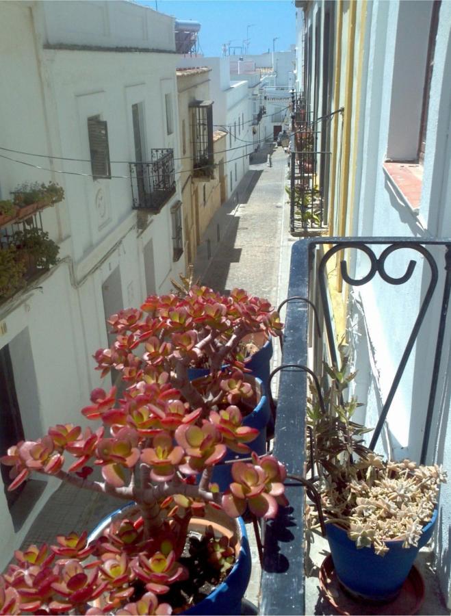 Apartament Acogedor Estudio En Casco Antiguo Tarifa Zewnętrze zdjęcie